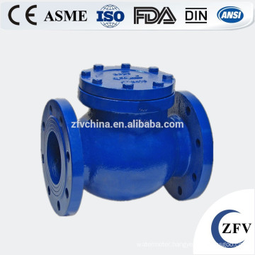 Stainless steel swing check valve